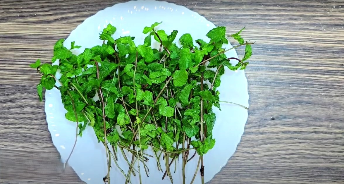 How to Make Delicious Mint Margarita Recipe at Home