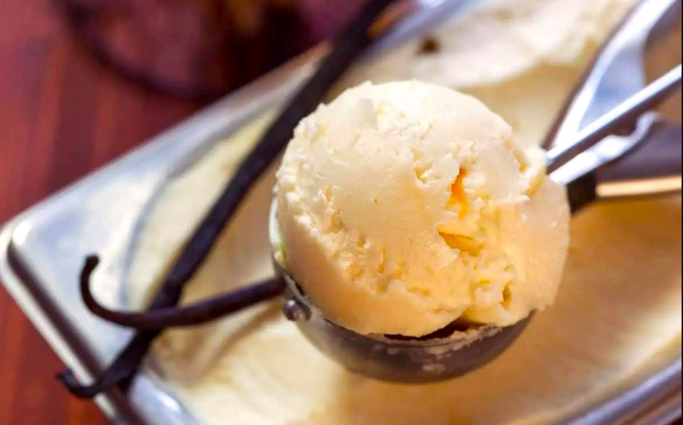 Ninja Creami Vanilla Custard