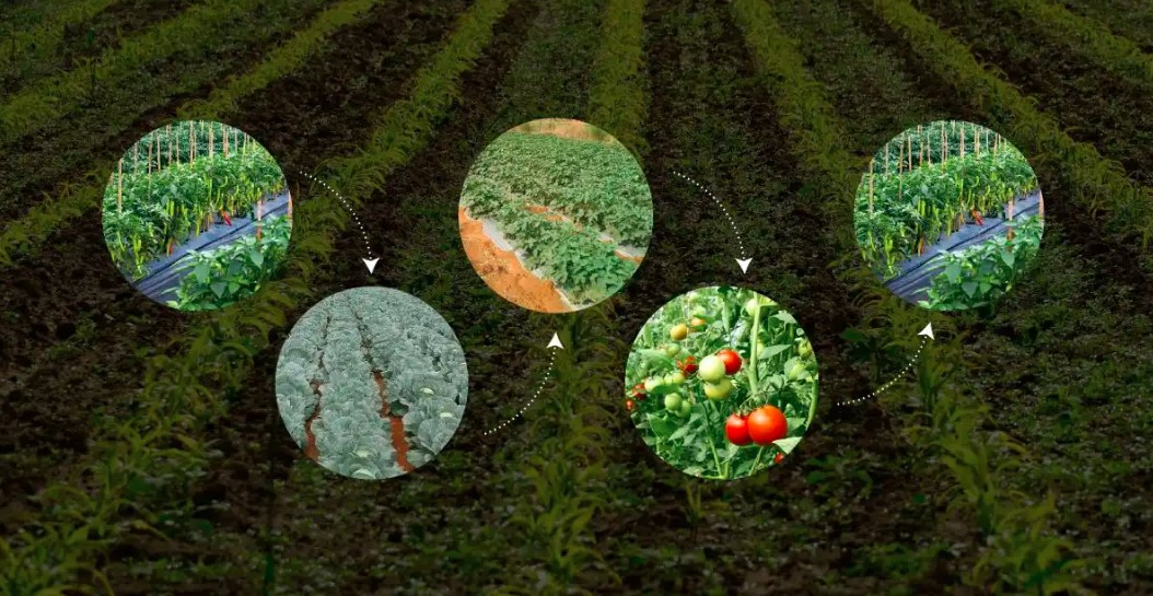 Protecting the Environment with Sustainable Farming